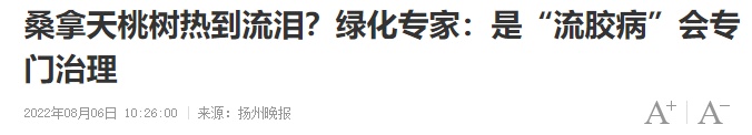 别吃！武汉街头已出现