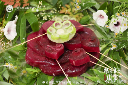 这是什么神仙熊生 熊猫生日季水果冰看馋了