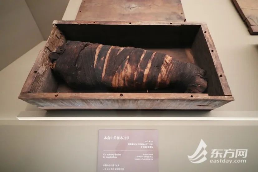 788件文物、3000平方米展陈!风靡全网的上博古埃及文明展怎么逛?攻略来了→ 788件文物、3000平方米展陈!风靡全网的上博古埃及文明展怎么逛?攻略来了→