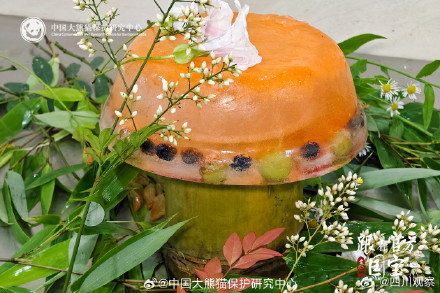 这是什么神仙熊生 熊猫生日季水果冰看馋了