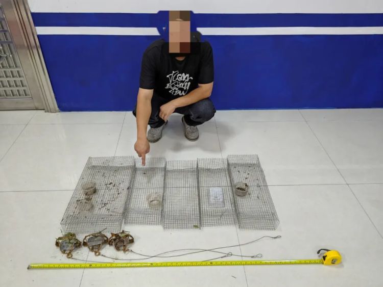 非法狩猎毒蛇！钟某、杨某被拘！