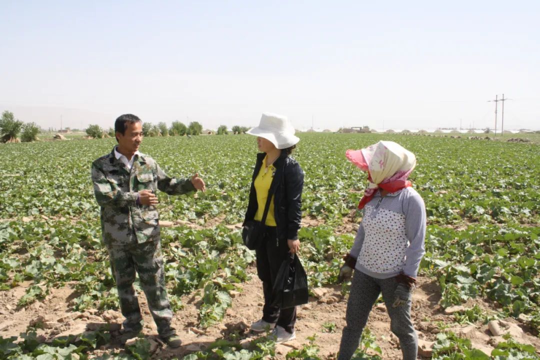 能让你安心吃瓜的那位吴奶奶回新疆了!气象人好激动呀! 能让你安心吃瓜的那位吴奶奶回新疆了!气象人好激动呀!