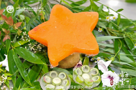 这是什么神仙熊生 熊猫生日季水果冰看馋了