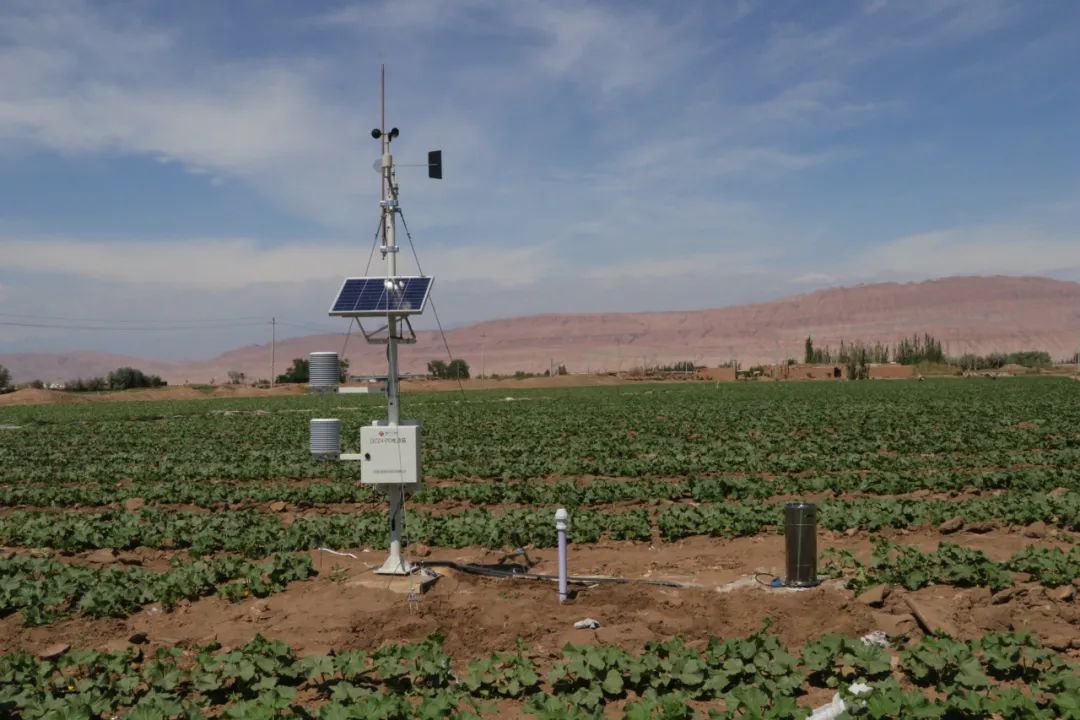 能让你安心吃瓜的那位吴奶奶回新疆了!气象人好激动呀! 能让你安心吃瓜的那位吴奶奶回新疆了!气象人好激动呀!