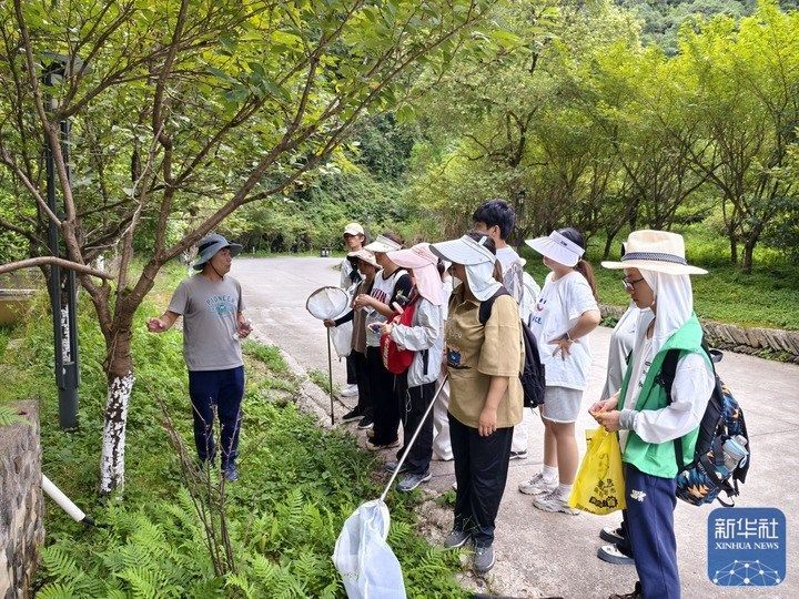 “我们的暑假作业是到山里去抓虫子”——贵州佛顶山国家级自然保护区迎暑期研学