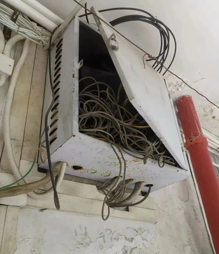 大学宿舍被指霉菌遍布!学校回应 大学宿舍被指霉菌遍布!学校回应