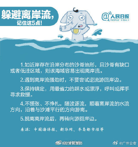 关于海滩“头号杀手”,这些你必须知道 关于海滩“头号杀手”,这些你必须知道