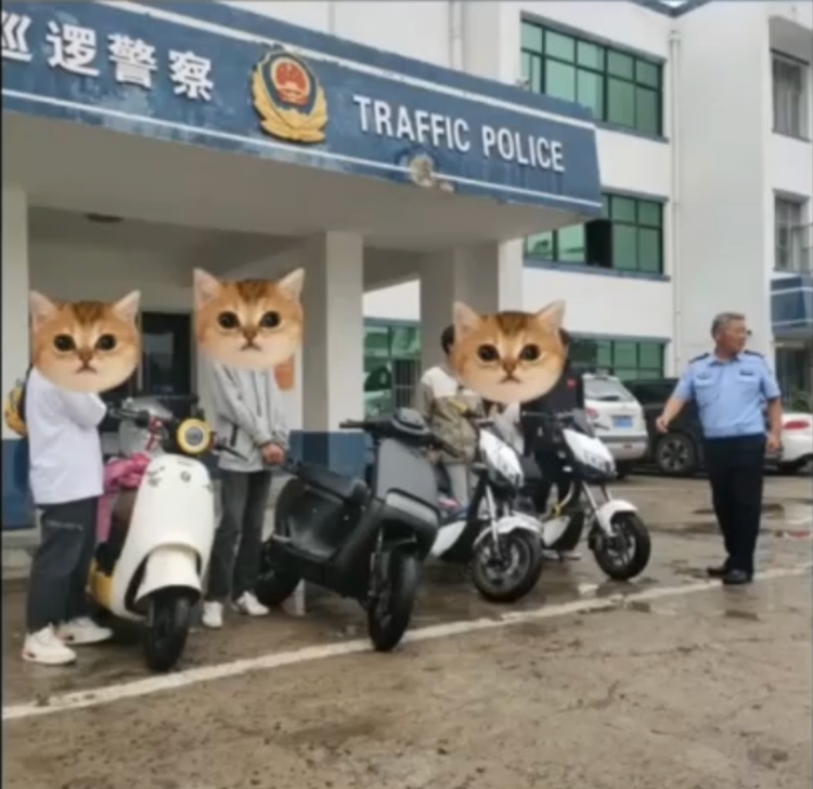 翘头炫技？群众举报！交警：严查！
