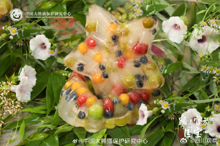 这是什么神仙熊生 熊猫生日季水果冰看馋了