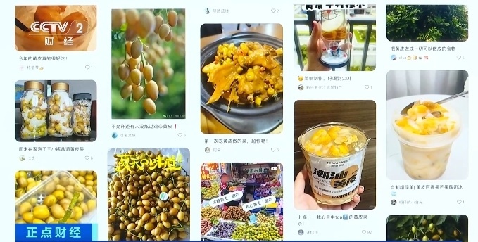 又一水果新宠！这个夏天，黄皮火了！有商超销量增超200%