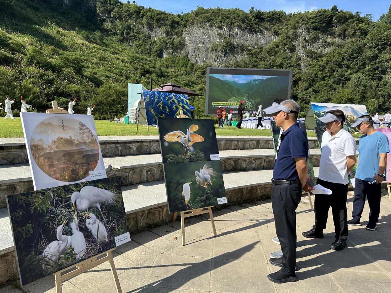 湖南扎实推进关注森林活动 持续促进生态健康发展