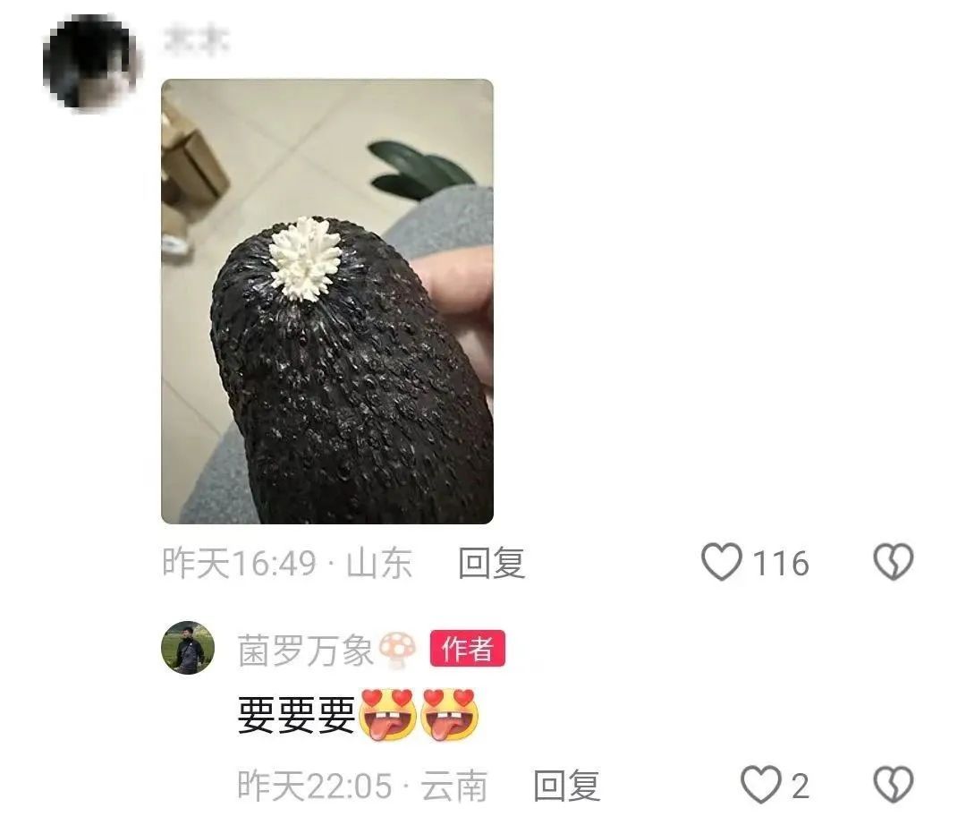 继“果菌王”之后，“蒜什蘑”也来到了昆明……