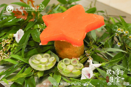 这是什么神仙熊生 熊猫生日季水果冰看馋了