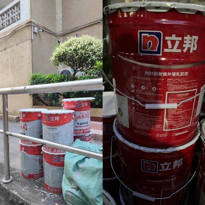 大学宿舍被指霉菌遍布!学校回应 大学宿舍被指霉菌遍布!学校回应