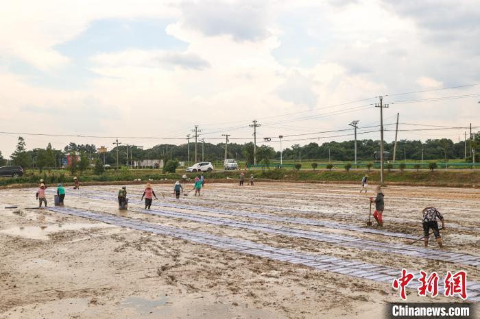 江西省农业保险因洪灾理赔已达2.28亿元