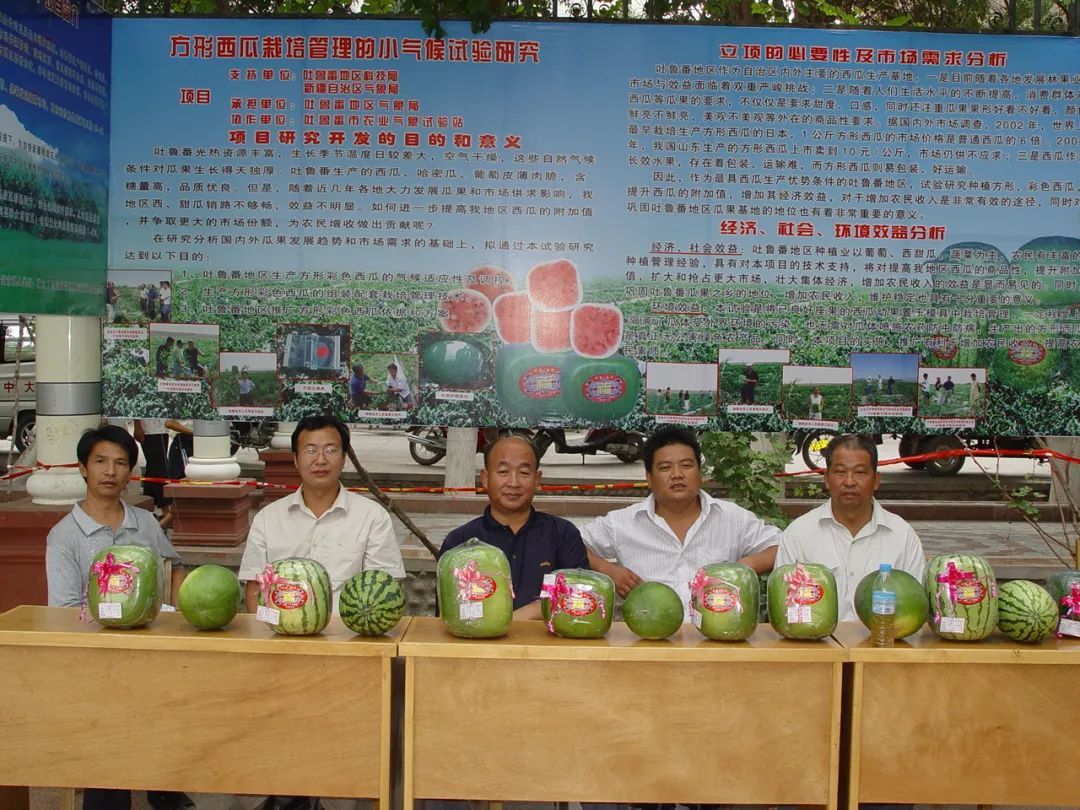 能让你安心吃瓜的那位吴奶奶回新疆了!气象人好激动呀! 能让你安心吃瓜的那位吴奶奶回新疆了!气象人好激动呀!