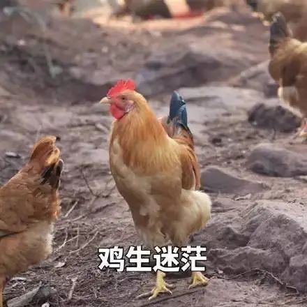 价格还要涨！中国人每天吃掉近1亿只！上海人夏天也很爱，还能愉快地干饭吗...