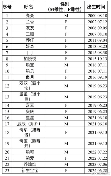 你都认识吗?重庆动物园现共有大熊猫23只 你都认识吗?重庆动物园现共有大熊猫23只