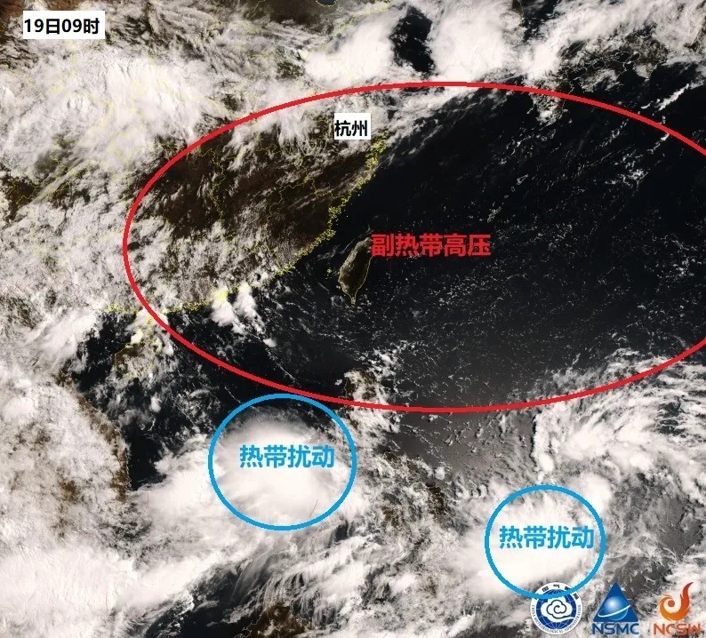 热红了！浙江发布高温警报！局部41℃+