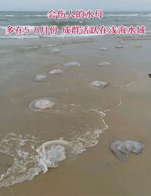 可致心脏骤停!这种“塑料袋”千万别碰→ 可致心脏骤停!这种“塑料袋”千万别碰→