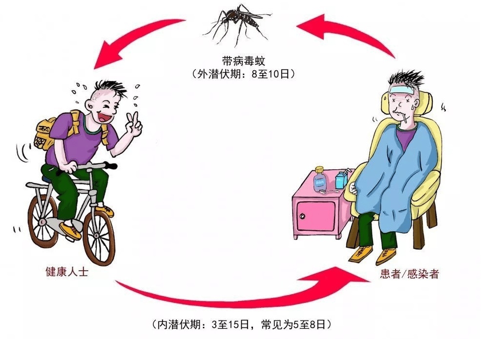 报告多起病例！广州疾控重要提醒