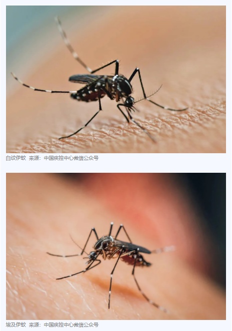 报告多起病例！广州疾控重要提醒