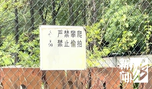 上海市区藏了一架波音747？尾翼断折，发动机、螺旋桨全无，不顾危险打卡者不少……