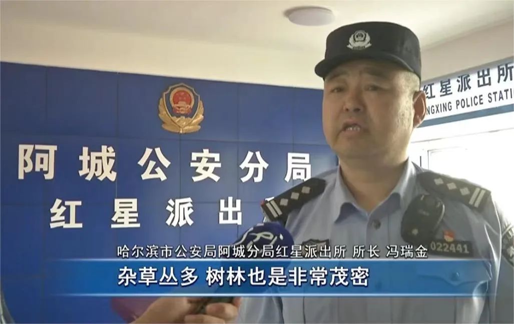 事发哈尔滨！七旬老人进山扫墓走失！警方展开搜救