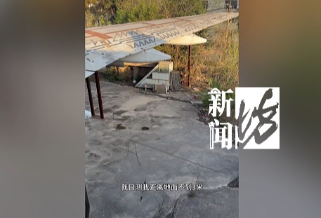 上海市区藏了一架波音747？尾翼断折，发动机、螺旋桨全无，不顾危险打卡者不少……