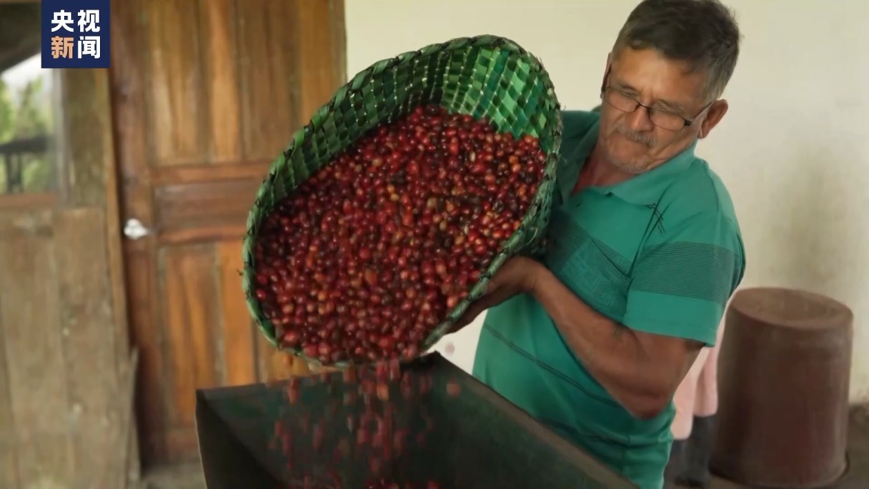 中国与厄瓜多尔自贸协定助力这些南美特产走进中国市场