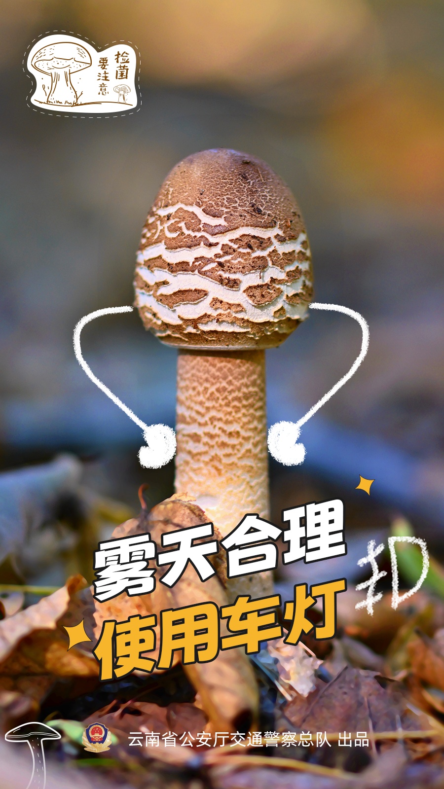 网友:吃菌开车违法吗?交警解答来了 网友:吃菌开车违法吗?交警解答来了