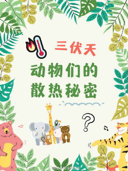 三伏天，动物们竟是这样度夏的？！
