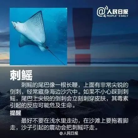 可致心脏骤停!这种“塑料袋”千万别碰→ 可致心脏骤停!这种“塑料袋”千万别碰→