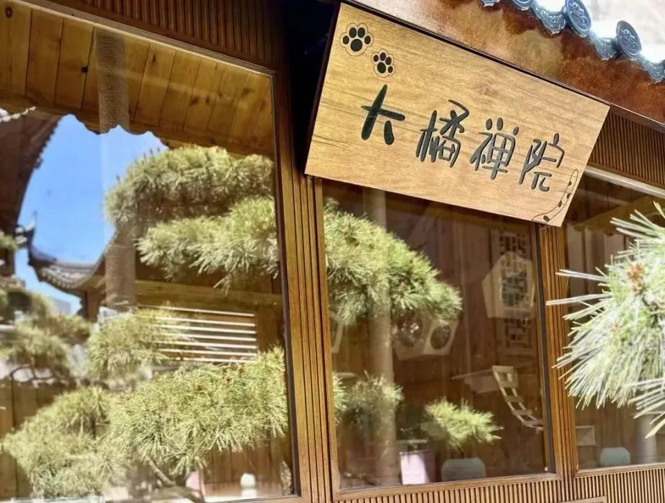 上海玉佛寺金元宝面包走红，每天限量500只！网友：刻进DNA里的形状