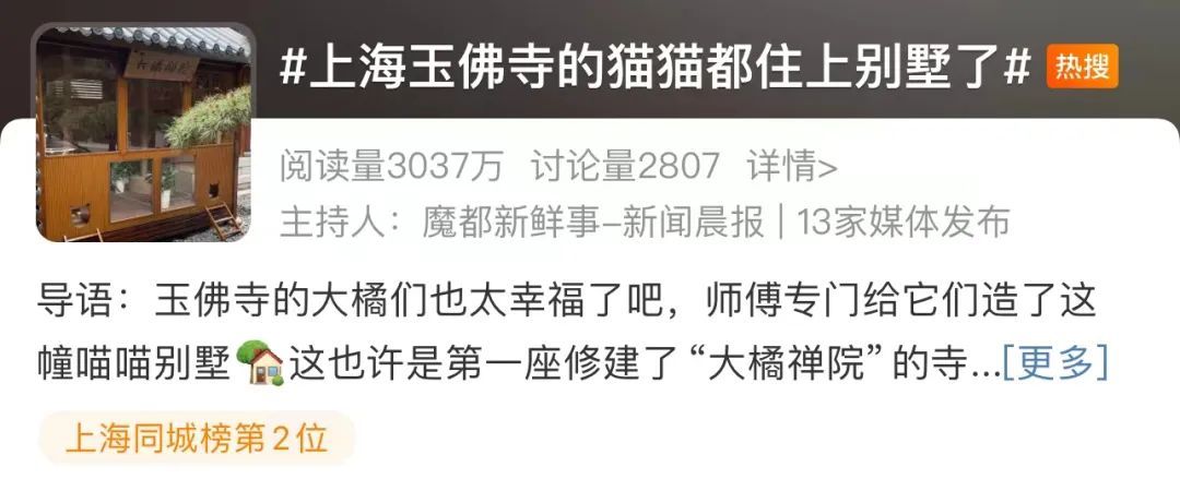 上海玉佛寺金元宝面包走红，每天限量500只！网友：刻进DNA里的形状