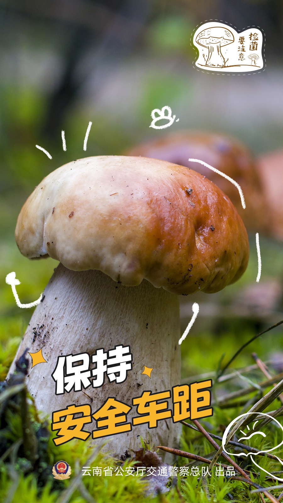 网友:吃菌开车违法吗?交警解答来了 网友:吃菌开车违法吗?交警解答来了