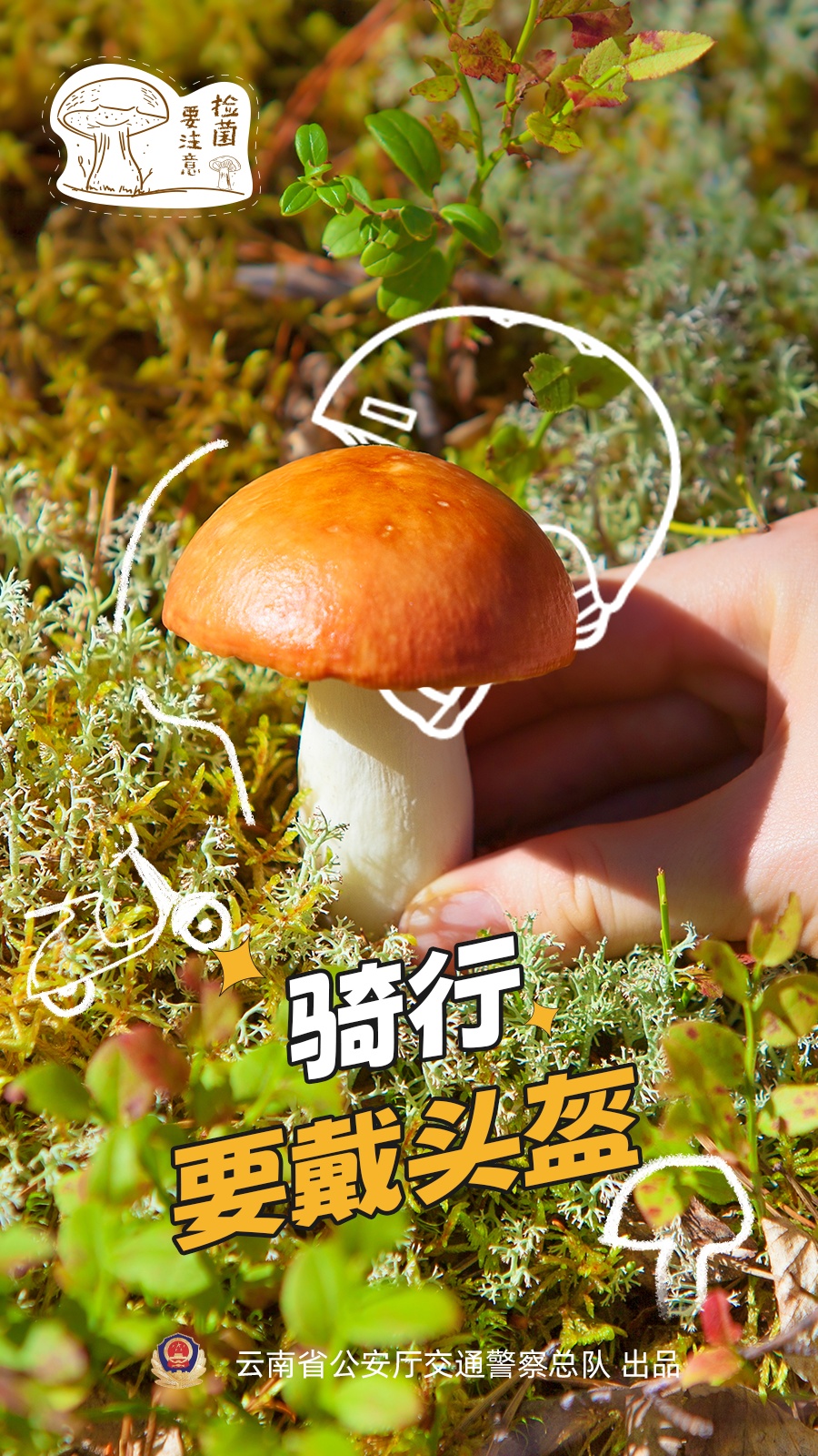 网友:吃菌开车违法吗?交警解答来了 网友:吃菌开车违法吗?交警解答来了