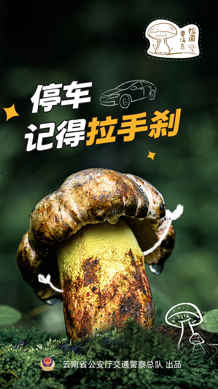 网友:吃菌开车违法吗?交警解答来了 网友:吃菌开车违法吗?交警解答来了