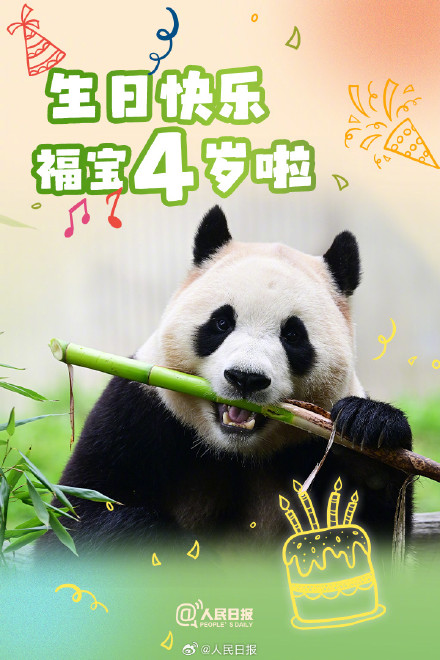 生日快乐！福宝今天4岁了