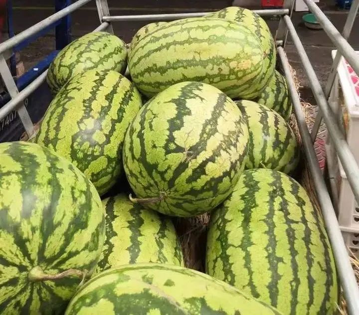 价格翻倍!杭州吃瓜群众:夏天离不开这一口 价格翻倍!杭州吃瓜群众:夏天离不开这一口