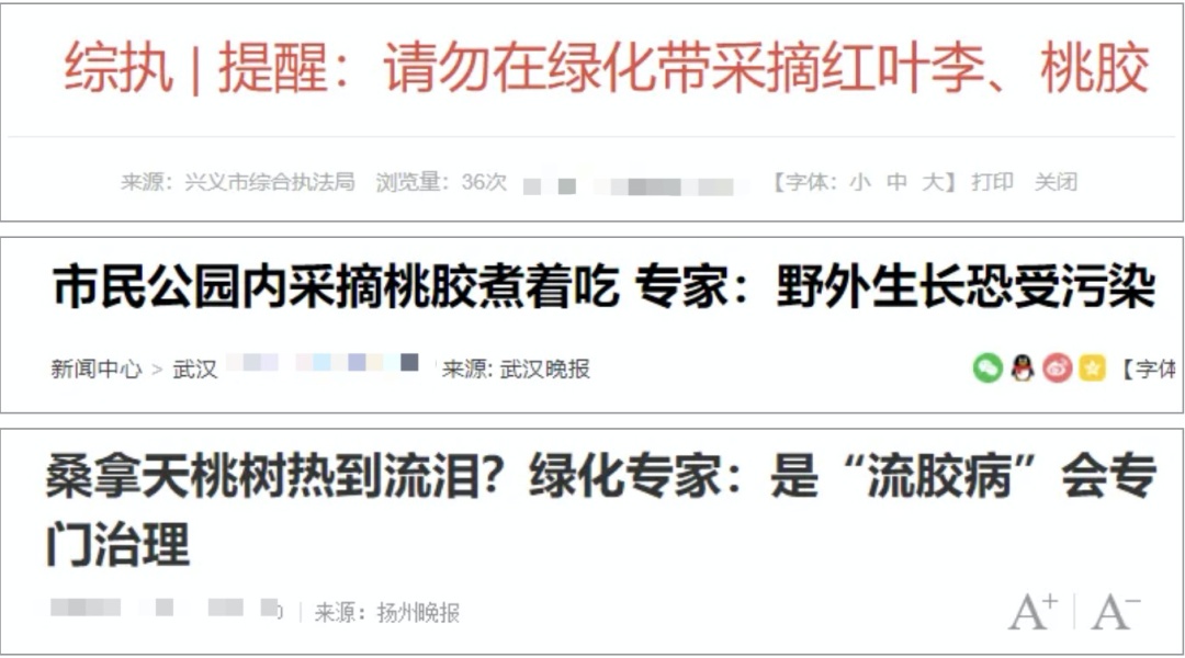 不要采、不要吃,不少地方街头已出现 不要采、不要吃,不少地方街头已出现