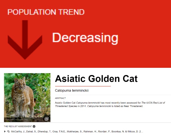 “阿宅”走了!比大熊猫还珍贵? “阿宅”走了!比大熊猫还珍贵?