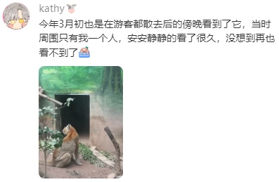 “阿宅”走了!比大熊猫还珍贵? “阿宅”走了!比大熊猫还珍贵?