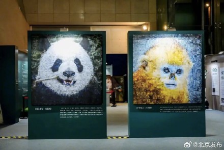 暑期博物馆打卡攻略丨北京那些适合亲子漫游的博物馆 暑期博物馆打卡攻略丨北京那些适合亲子漫游的博物馆