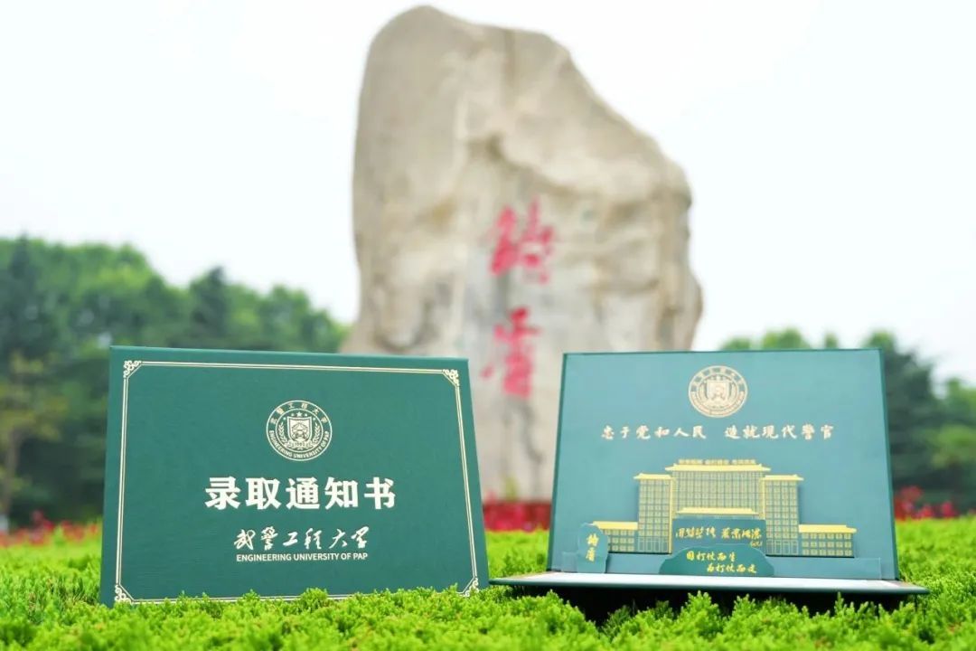 硬核录取通知书大揭秘！现在、立刻、马上送到我面前……