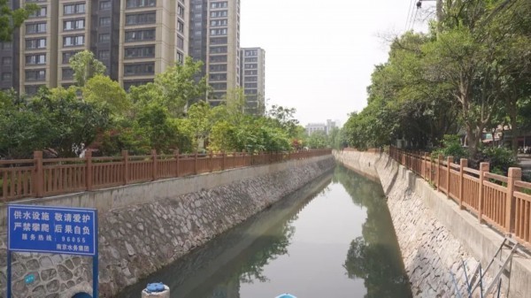 南京又现新物种