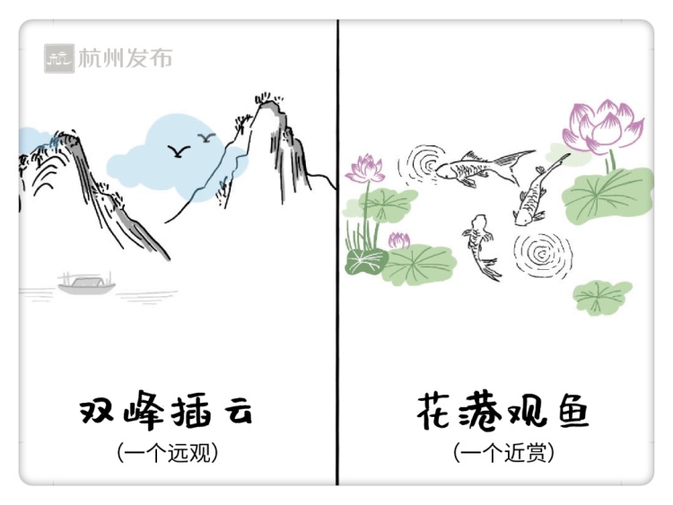 西湖边的“免费导游”，是宝藏啊！遇上他的都是幸运儿！网友：真学霸！