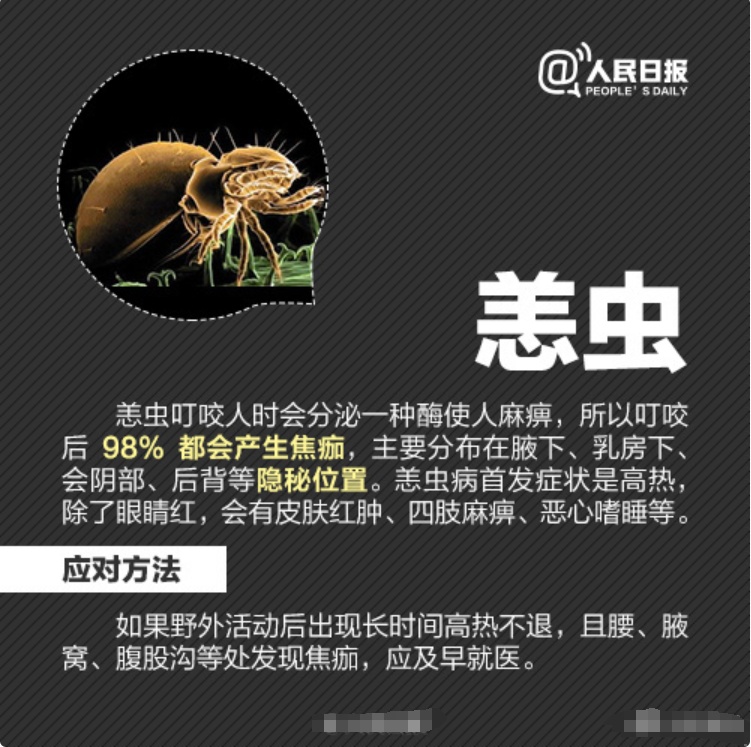 吓死!男子下体被咬烂差点进ICU...医生紧急提醒→ 吓死!男子下体被咬烂差点进ICU...医生紧急提醒→
