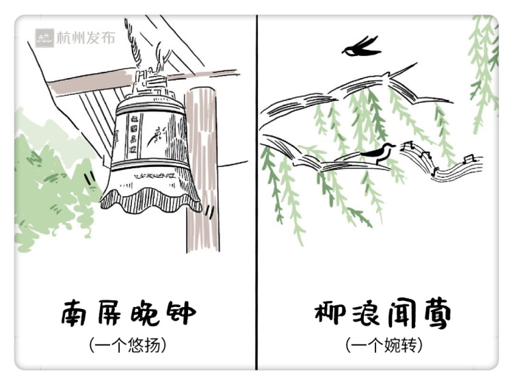 西湖边的“免费导游”，是宝藏啊！遇上他的都是幸运儿！网友：真学霸！