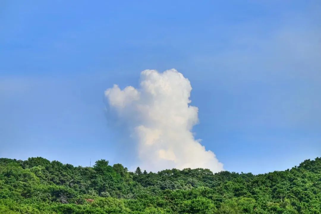 部分地区暴雨落区叠加！极端性强、致灾风险高！辽宁将有三轮区域性暴雨！